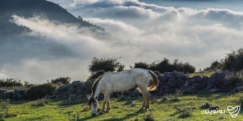 روستاهای اطراف تهران