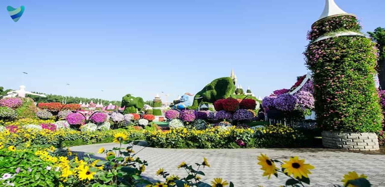 باغ معجزه در دبی
