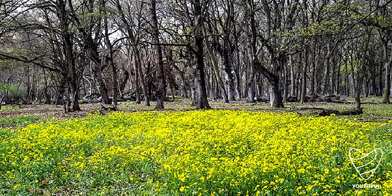 جاهای دیدنی مازندران