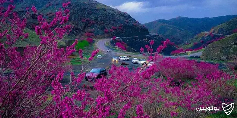 دشت ارمغان