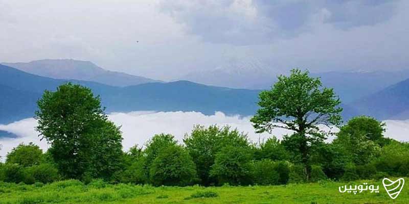 آب‌وهوای آمل