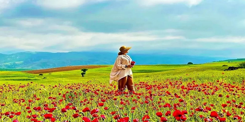 جاهای دیدنی دیلمان