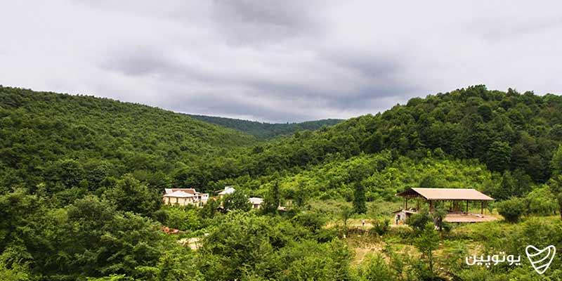 روستای سلیم‌آباد