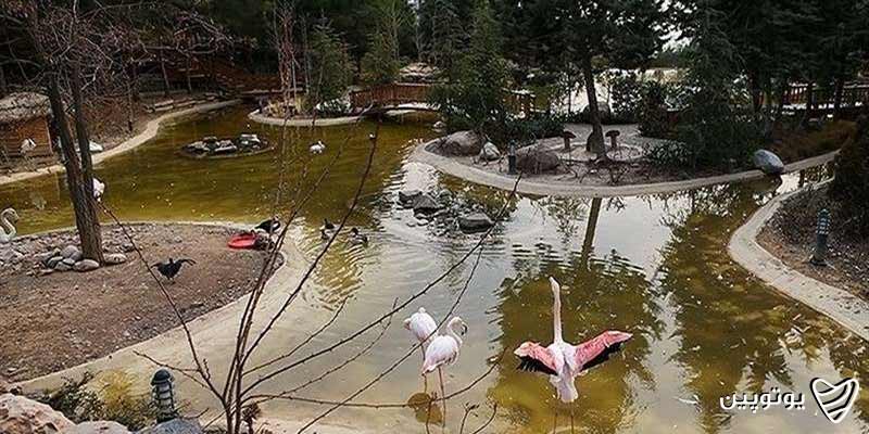 پارک جنگلی بیرجند