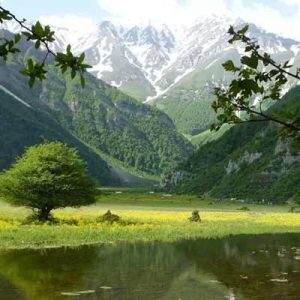 جاهای دیدنی تنکابن | مزرعه مرکبات ایران!