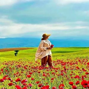 جاهای دیدنی دیلمان