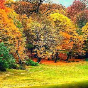 جاهای دیدنی گرگان