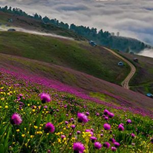 جاهای دیدنی رودبار