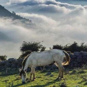 روستاهای اطراف تهران